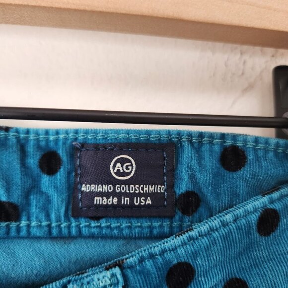 Adriano Goldschmied The Stevie Ankle Slim Straight Leg Corduroy Pants Jeans 25R - Picture 7 of 11